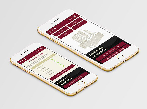 Branding, responsive web sites in Monterrey, Mexico